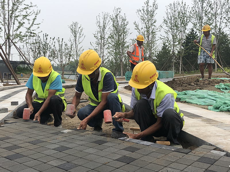 建筑垃圾再生海綿磚走進(jìn)北京“綠肺”溫榆河公園圖片